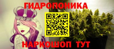 бошки Дубна